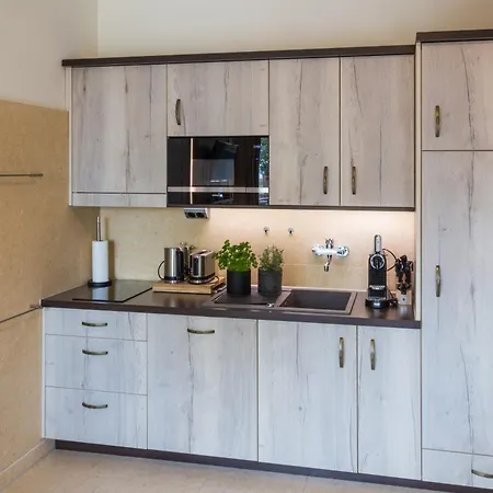 Apartment Schmidt - Strandhaus Direkt Am Mit Sauna, Sport Und Duenengarten Iii